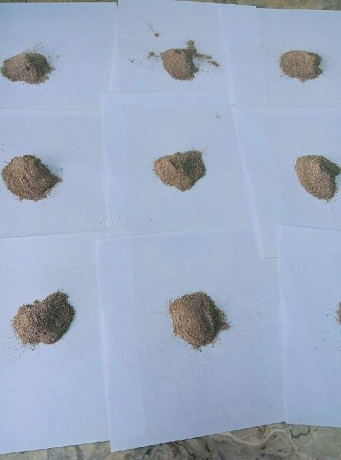 比熊经常拉肚子，铲屎官观察5点症状，发现感染寄生虫！