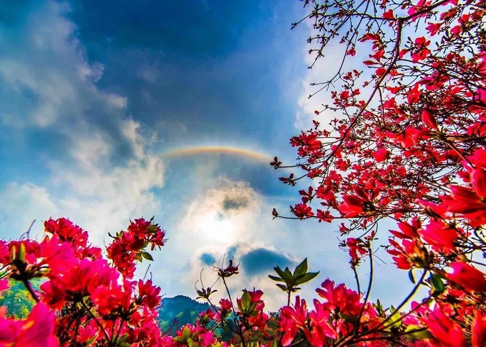 川西不次于牛背山的观景平台,比牛背山更近的贡嘎观景平台