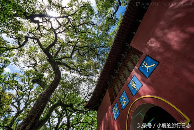 宁波舟山普陀山旅游团报团两日游,普陀山两日游住岛上好还是外面好