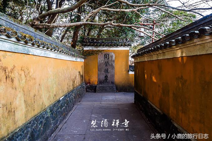 宁波舟山普陀山旅游团报团两日游,普陀山两日游住岛上好还是外面好