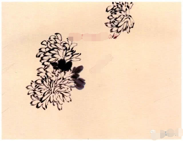 国画小写意菊花花头的画法,菊花国画写意画法视频