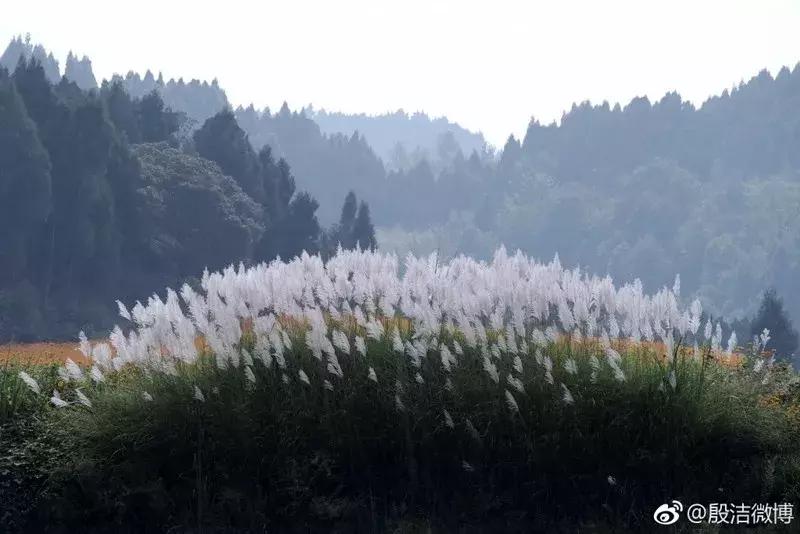 成都坐动车5小时到的城市,金堂18分钟飙拢成都中心城区