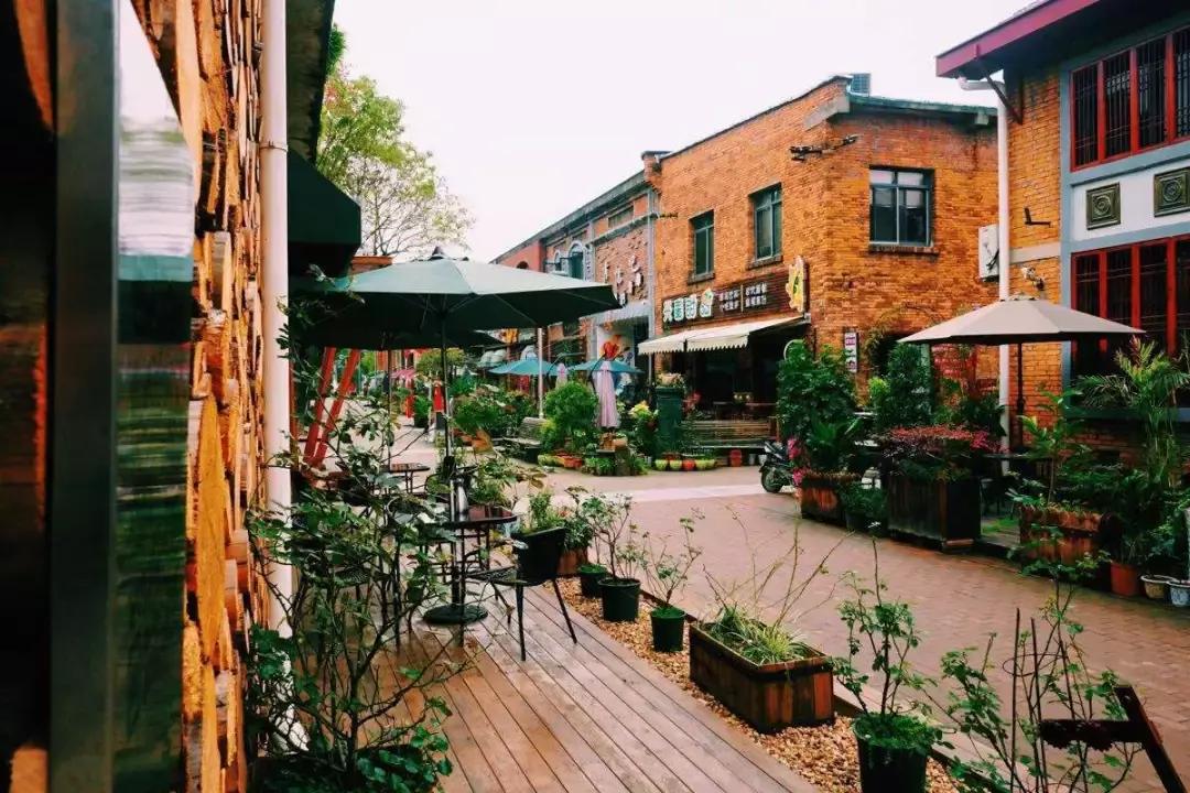 中国十大出圈城市南昌,中国南昌城市排名