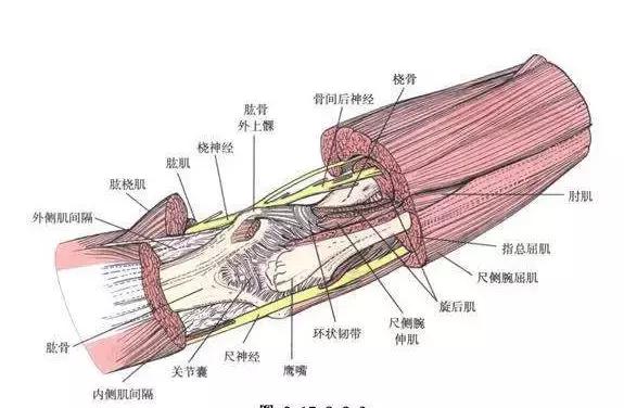 肘关节粘连康复锻炼心得,肘关节术后康复锻炼视频