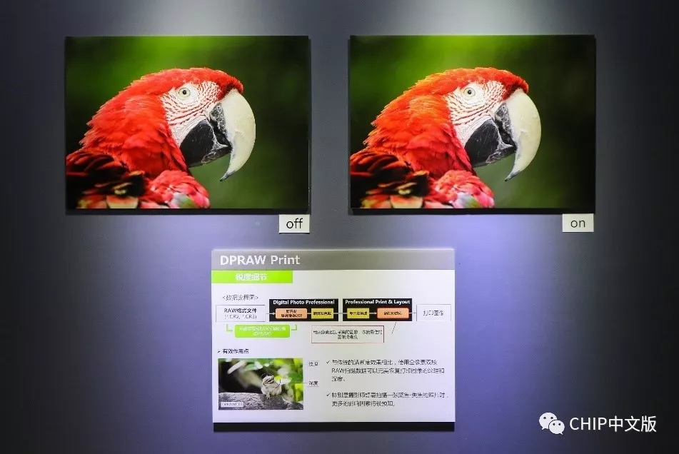 专业摄影照片打印,影像设计与制作专业