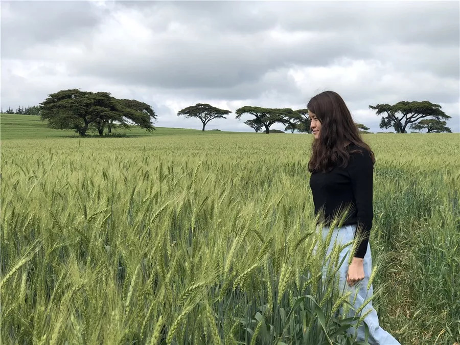 肯尼亚│我没有错过非洲，错过动物大迁徙