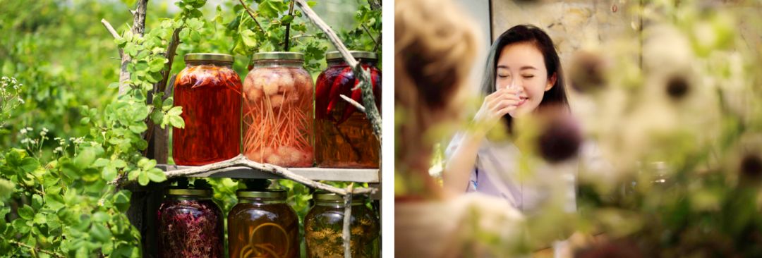 打开王潇的手账，约会加拿大新斯科舍省，遇见不一样的生活惊喜