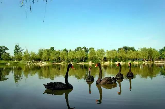 致拼搏奋斗路上莘莘学子,致莘莘学子的图片