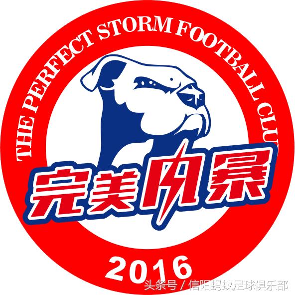 信阳蚂蚁足球,信阳完美风暴足球队
