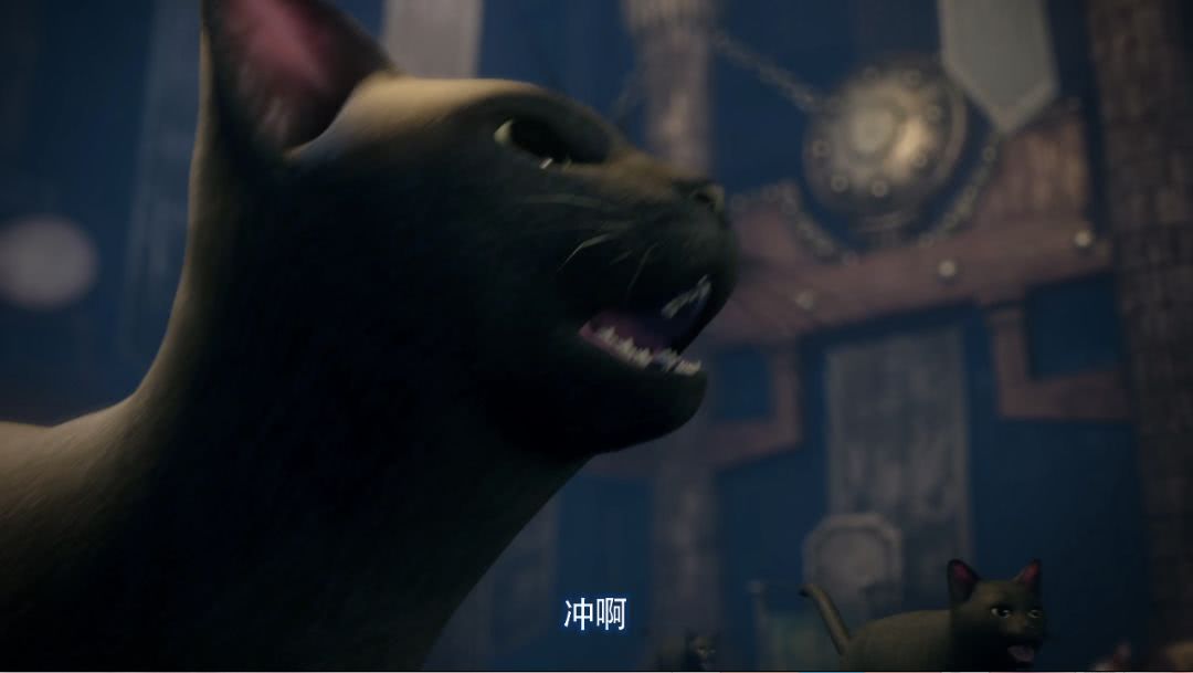 听说过养猫的养狗的，你听说过养木头的吗？