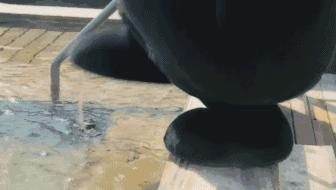 运城哪里有天然温泉,运城附近温泉哪个好