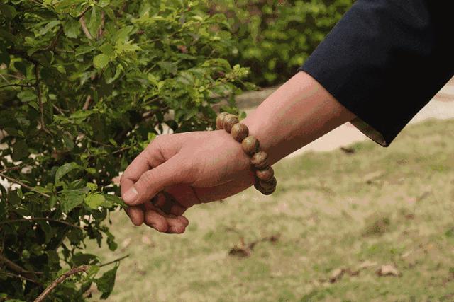 全球生命倒计时30天,倒计时三天过年了你们都回去了吗