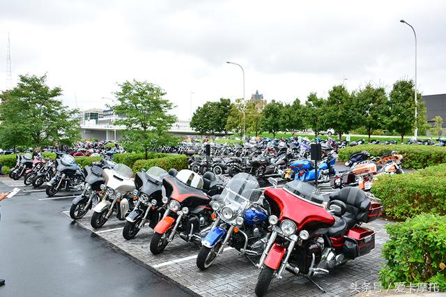 哈雷戴维森115周年庆典,哈雷戴维森旗舰滑翔115周年