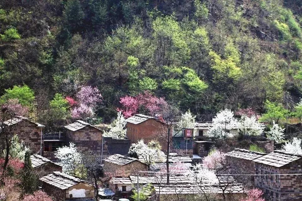 国内最美的十大海滨城市,国内最撩人的20个金秋童话