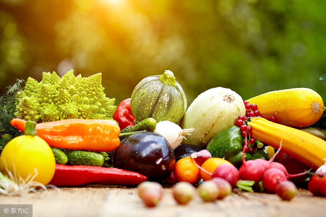 白山蔬菜大棚建设,江源蔬菜种植大棚