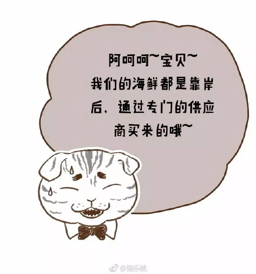 80后辣妈漫画家带2岁娃边走边画，80天环游世界~