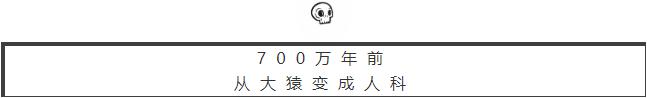 人体哪个部位让你，忍不住伸出舌头，想舔……｜从5500万年前说起