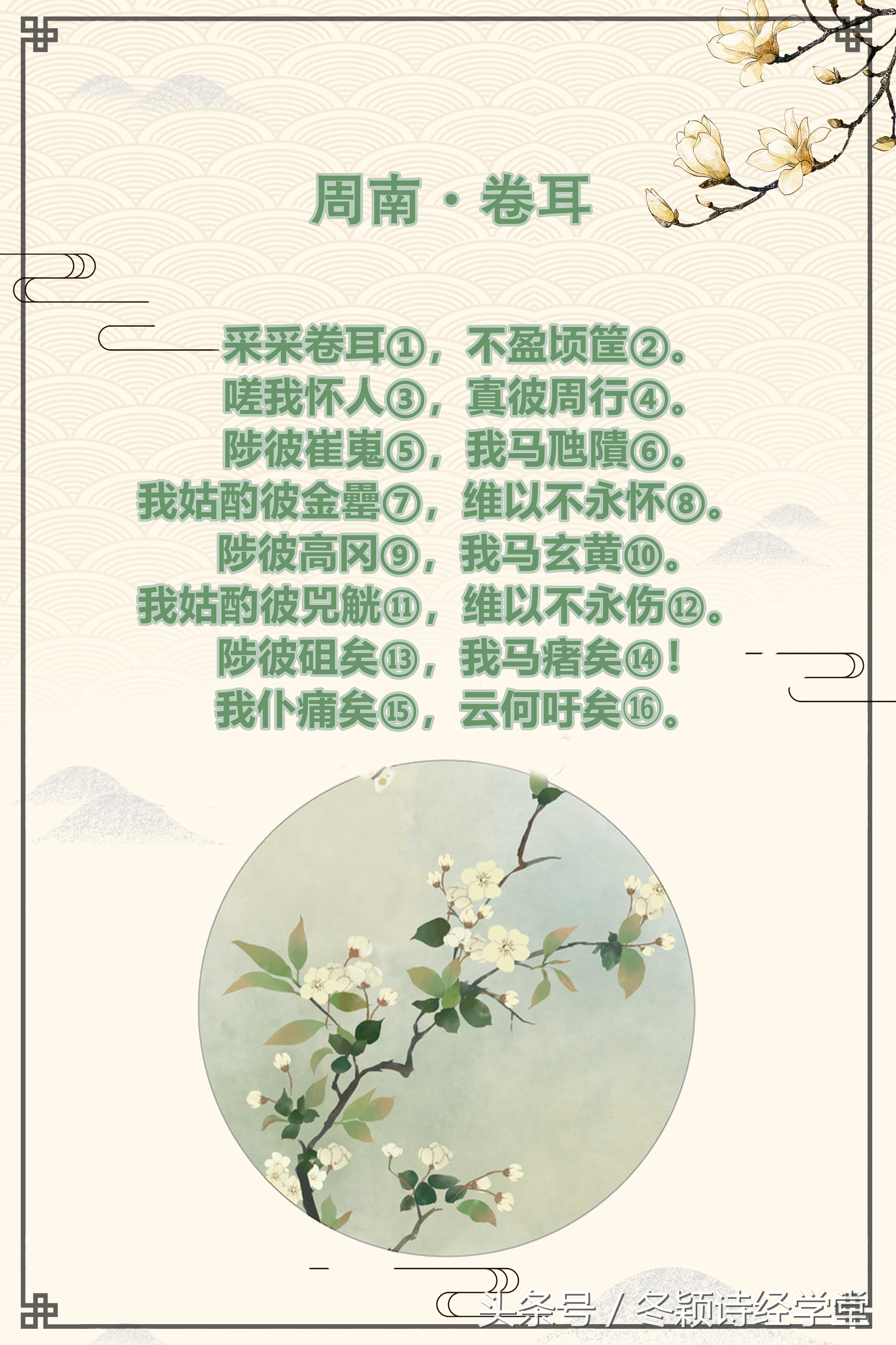 诗经周南卷耳朗读,诗经国风周南葛覃朗读