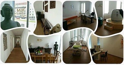 “海上中医”汉堡中医药展示中心积累大量“粉丝”