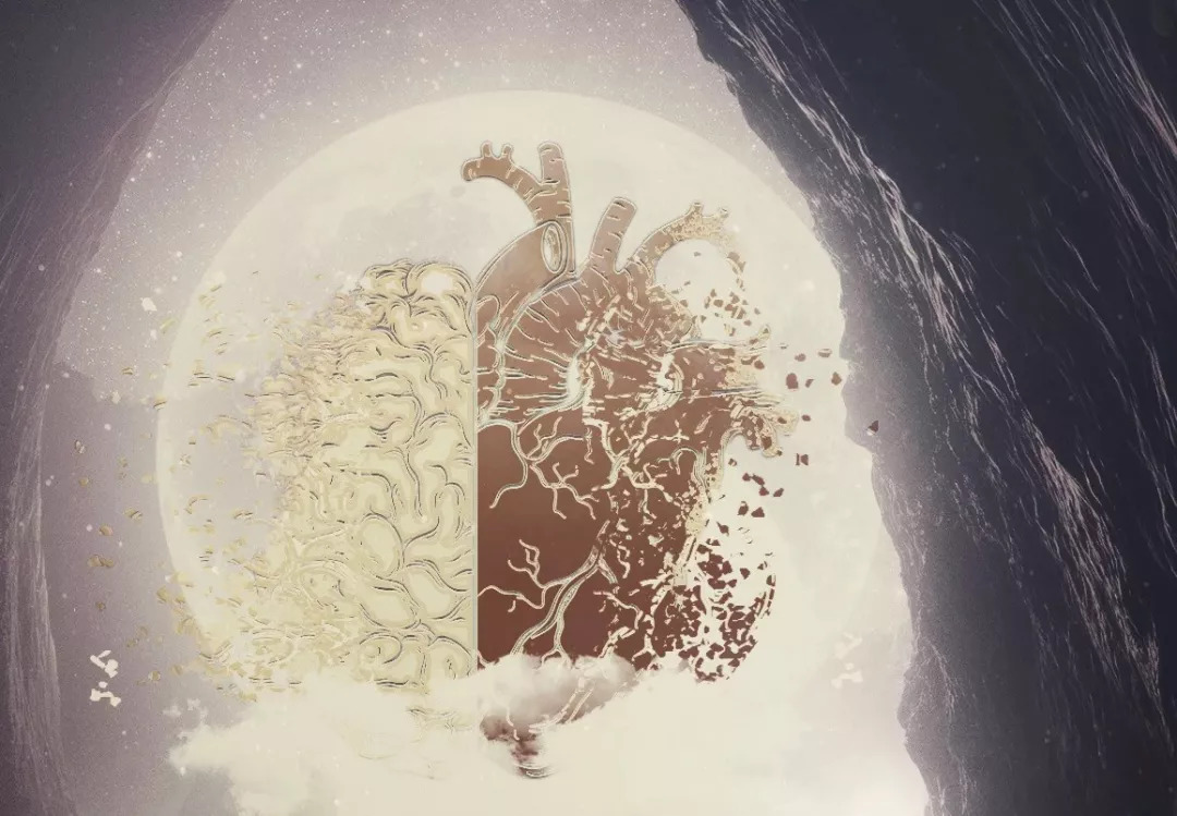 脑力经济学：DeepMind联合哈佛、剑桥在nature人类行为上发表长文综述