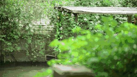 来木渎古镇感受乾隆,木渎古镇曾经的辉煌