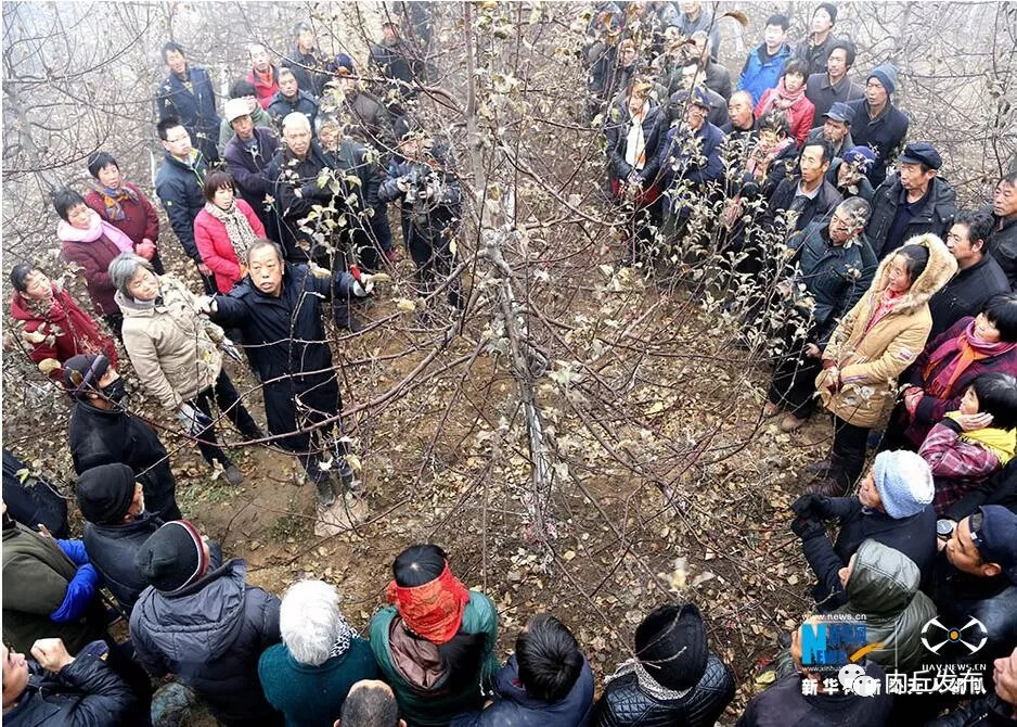 太行苹果小镇,苹果乡村振兴视频