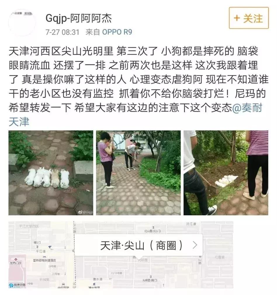 歹毒虐狗的人渣,请滚出天津!