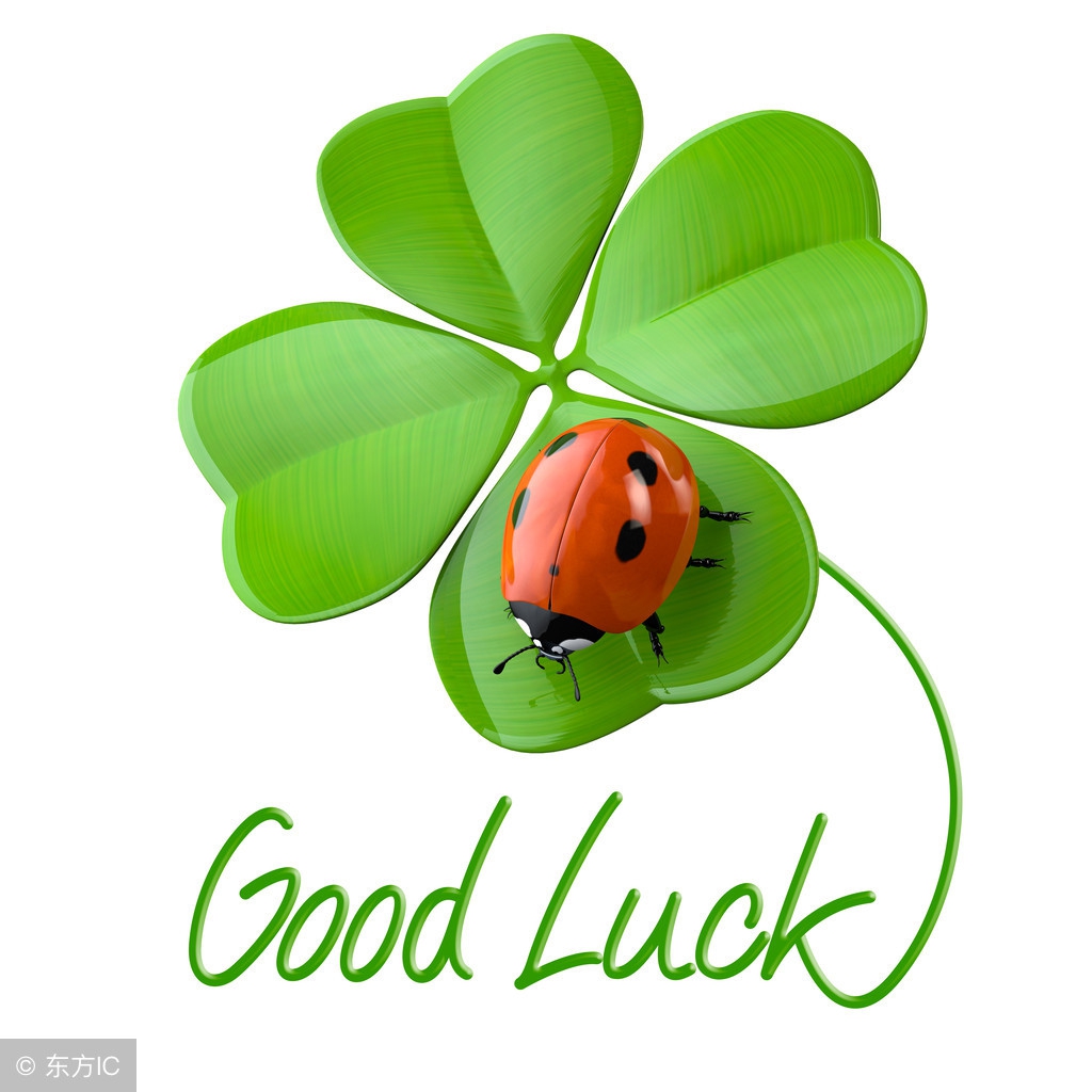 四叶草型的项链有什么含义,四叶草的项链为什么这么红