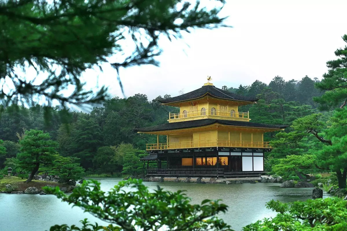 生活在别处~高冷文青携呆萌侄子游日本（攻略篇）