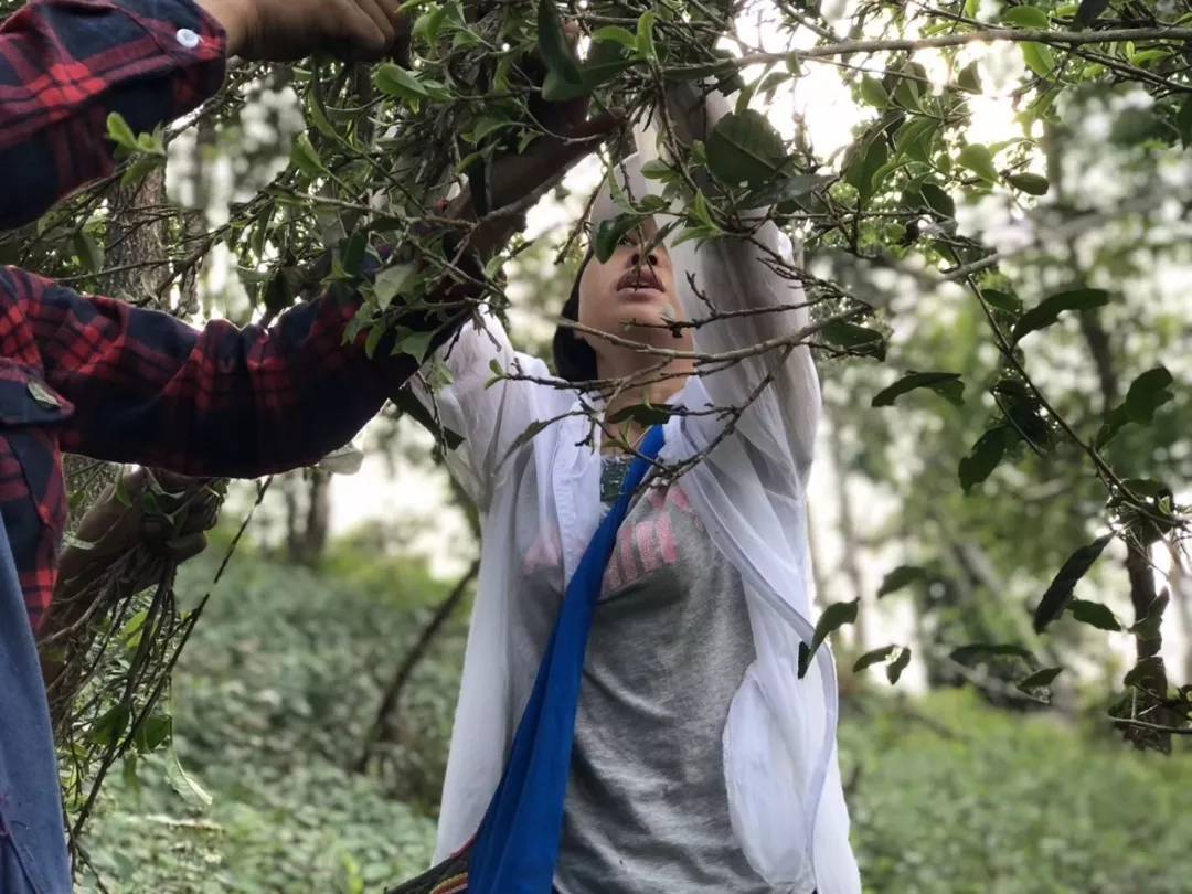 修享主理人如秀：以茶修行，做个讲究的人