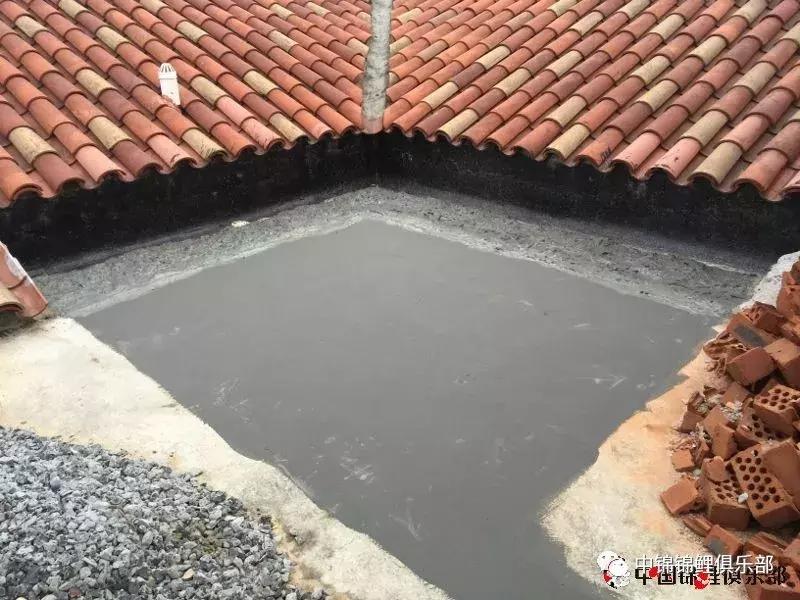 楼顶鱼池有哪些,屋顶鱼池的建造方法