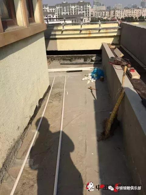 楼顶鱼池有哪些,屋顶鱼池的建造方法