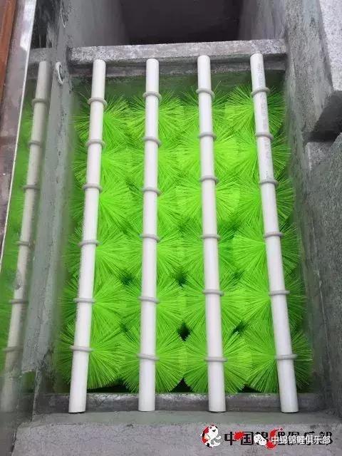 楼顶鱼池有哪些,屋顶鱼池的建造方法