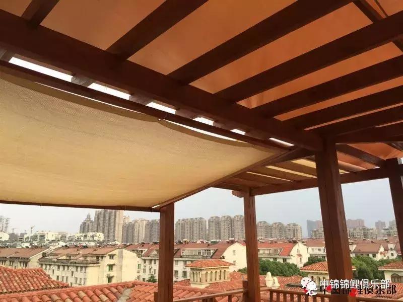 楼顶鱼池有哪些,屋顶鱼池的建造方法