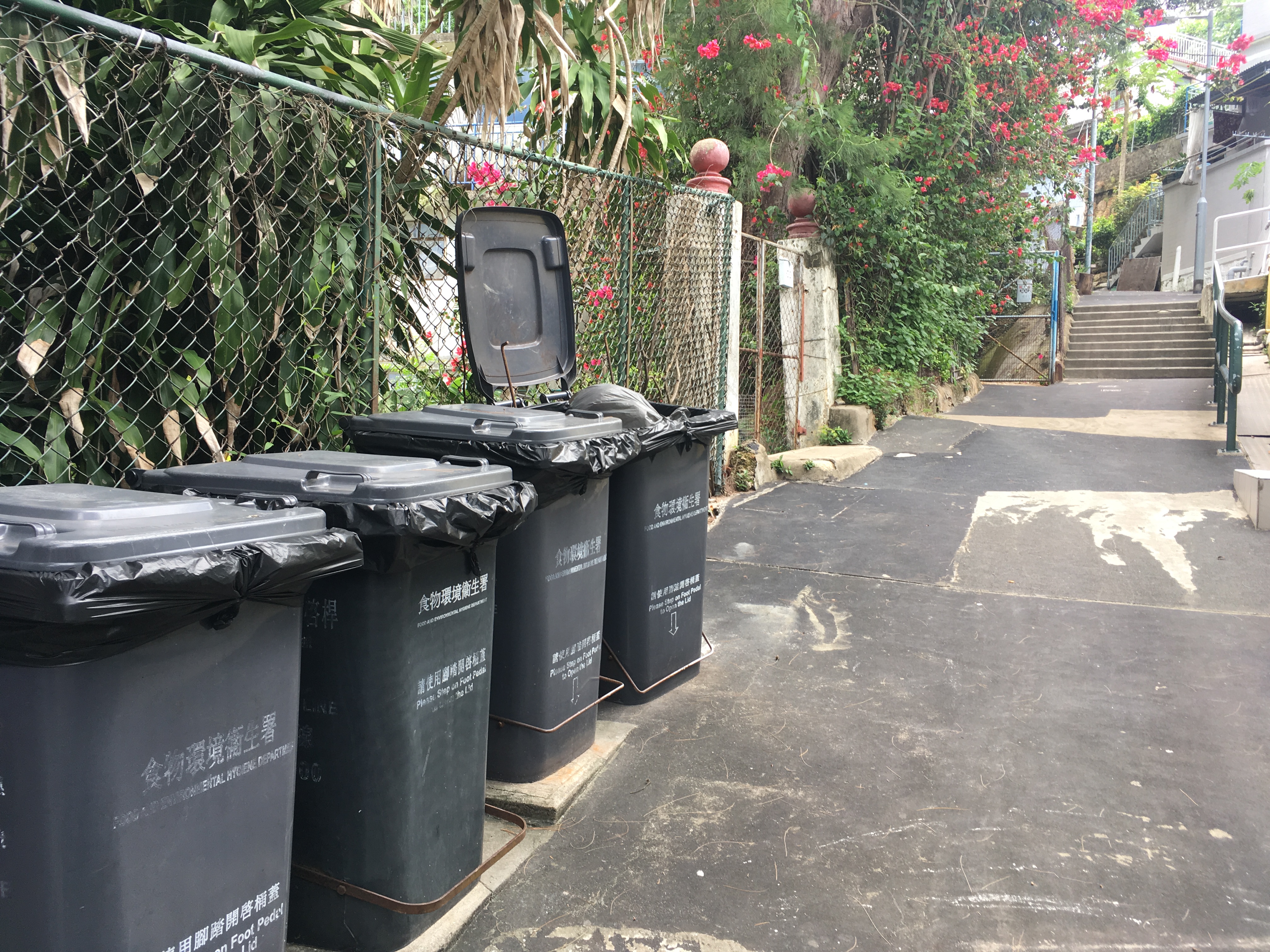 香港离岛区哪里最好玩,离岛长洲在什么地方