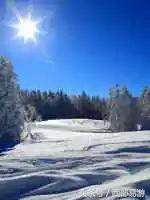 长沙特产送人一览表,上海特产必买清单一览表