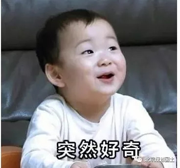 京城水,京城水有多深