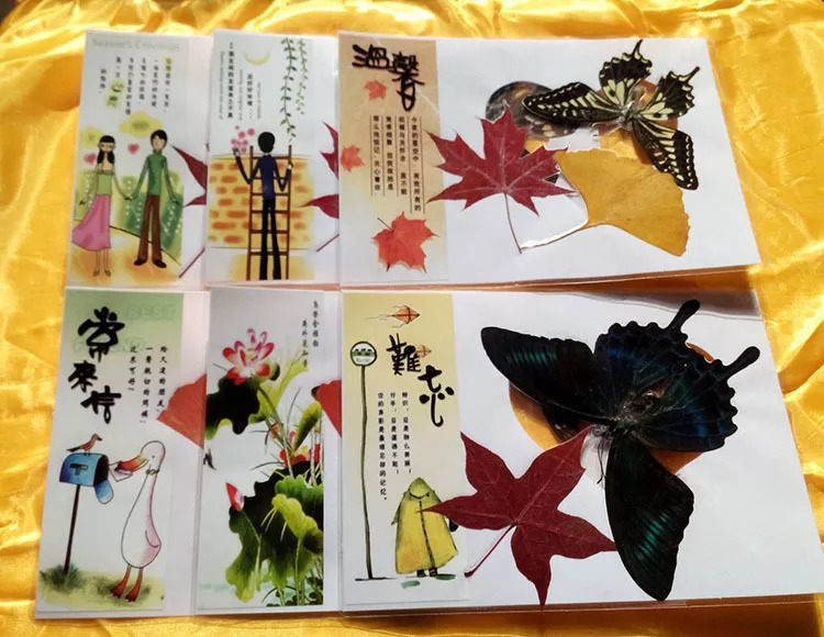 辽宁省科技馆科学工作室报名,辽宁科技馆活动课时间