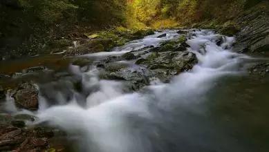 水，酒之魂，揭秘中国名酒的水密码