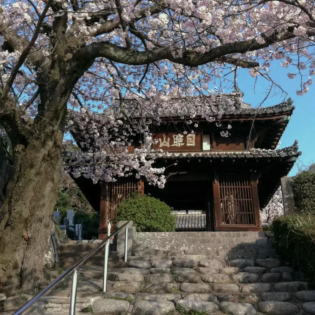 佛经可以翻译成白话吗,佛经还能倒着背