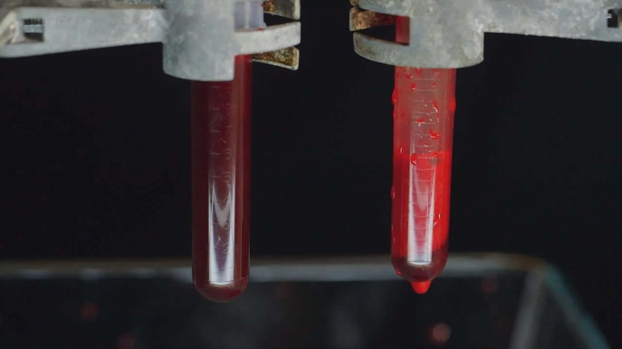 很血腥猎奇的三部纪录片,比较血腥的纪录片