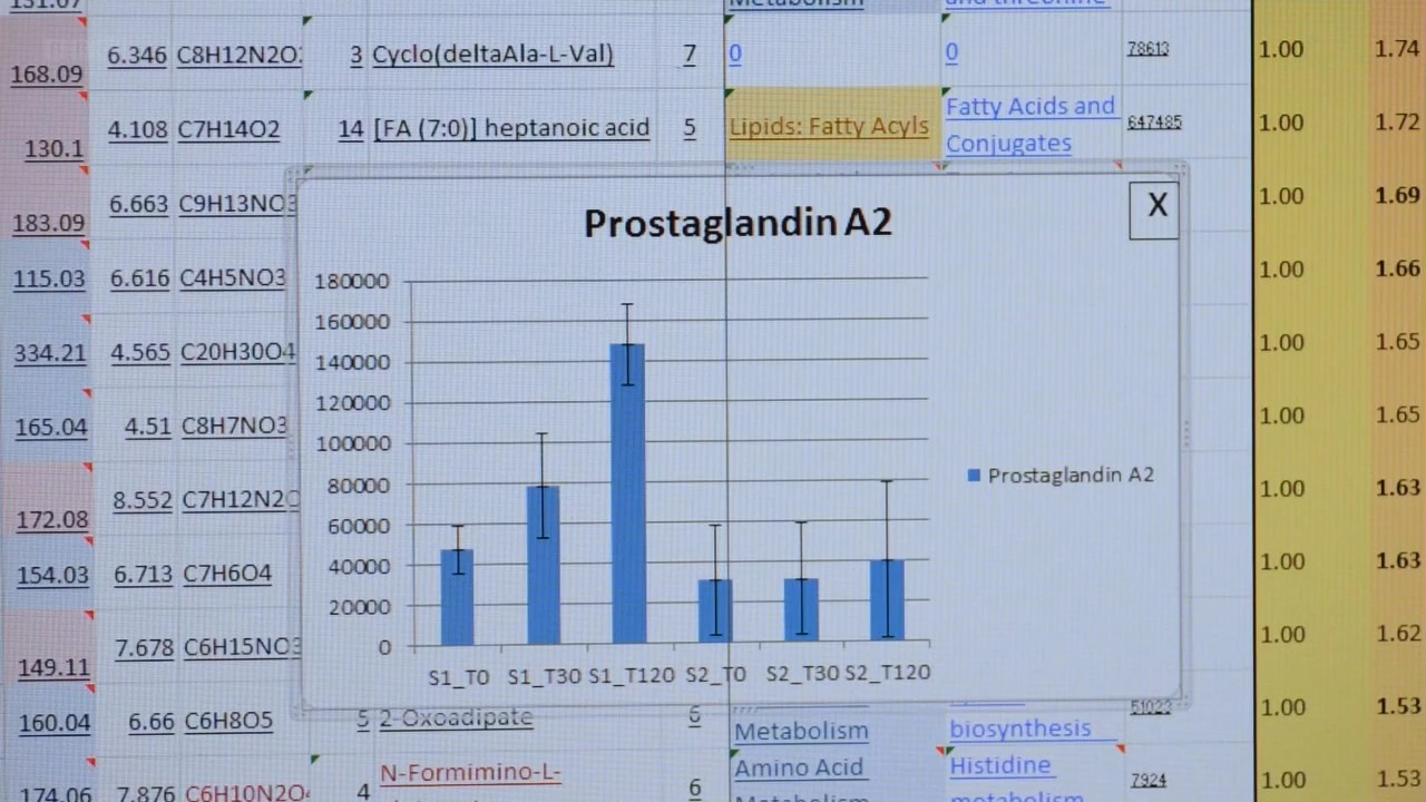 很血腥猎奇的三部纪录片,比较血腥的纪录片