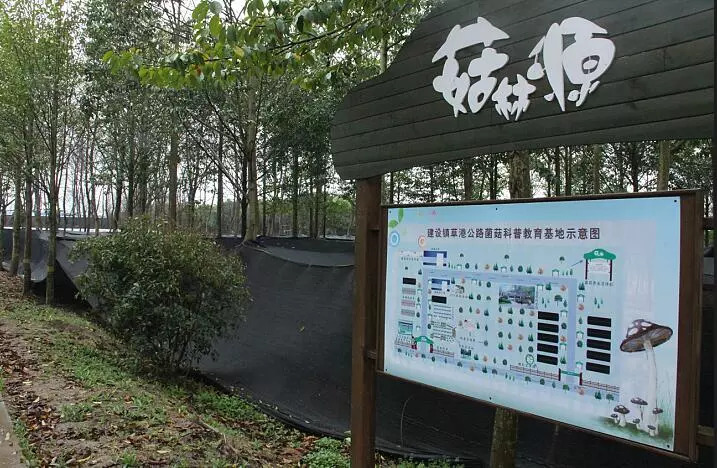 崇明旅游小镇,印象崇明岛