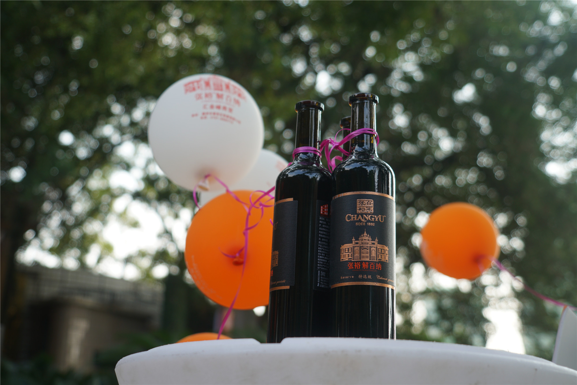 第九代张裕解百纳品鉴会荆州,张裕解百纳干红品酒大师的选择