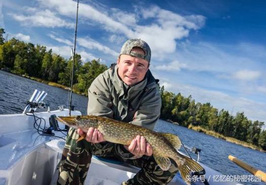 野游安全注意事项,战野打法思路