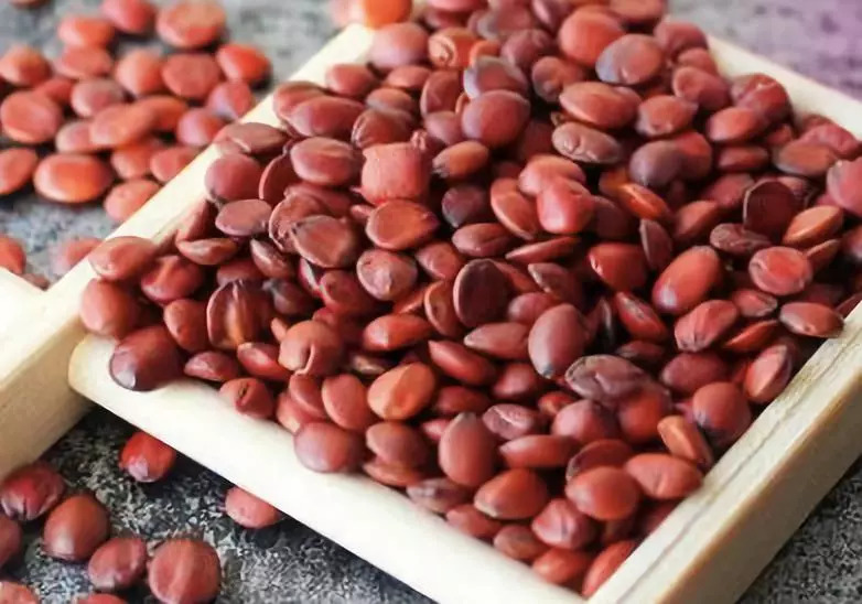 睡不着推荐一下酸枣仁汤,睡不好吃酸枣仁膏