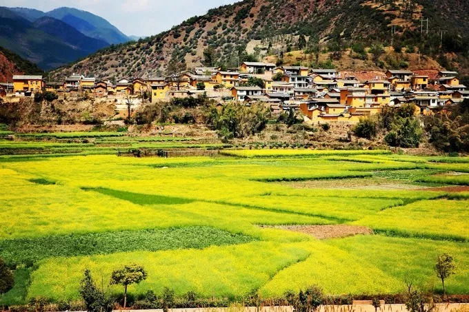 对大理有一种莫名的情愫,对大理的感触远远不止于苍山洱海