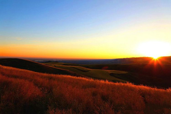 江布拉克的美景描述,风吹麦浪风景视频