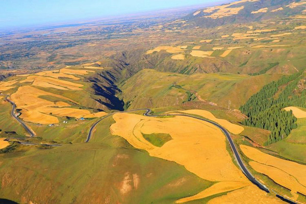 江布拉克的美景描述,风吹麦浪风景视频