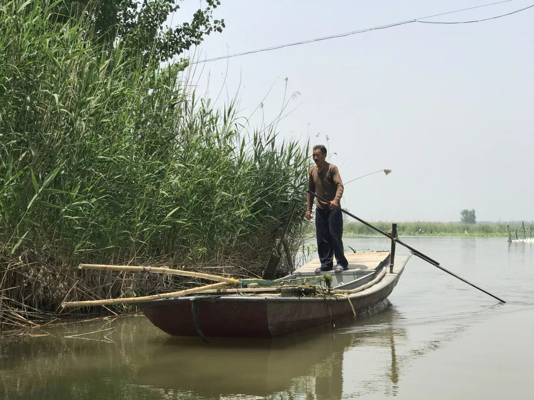 下站该往哪里去,下站了该去哪